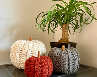 May include: Three crocheted pumpkins in cream, rust, and grey, each with a small wooden stem. The pumpkins are arranged in front of a potted plant with long green leaves. The pumpkins are a cosy autumn decoration.