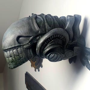 Puede incluir: Una detallada escultura de cabeza de Alien gris, montada en una pared. La escultura presenta detalles intrincados, incluyendo una superficie texturizada, dientes visibles y una cabeza segmentada. El color es una mezcla de gris y verde, con una apariencia desgastada.