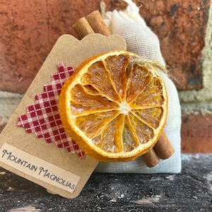 Autumn Simmer Potpourri Bags: Apple, Cinnamon, Star Anise
