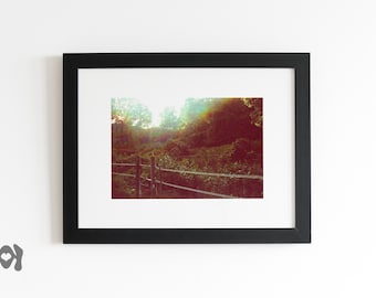 Natur Fotografie Print: Rustikale Landschaft Kunst (Instant Download)