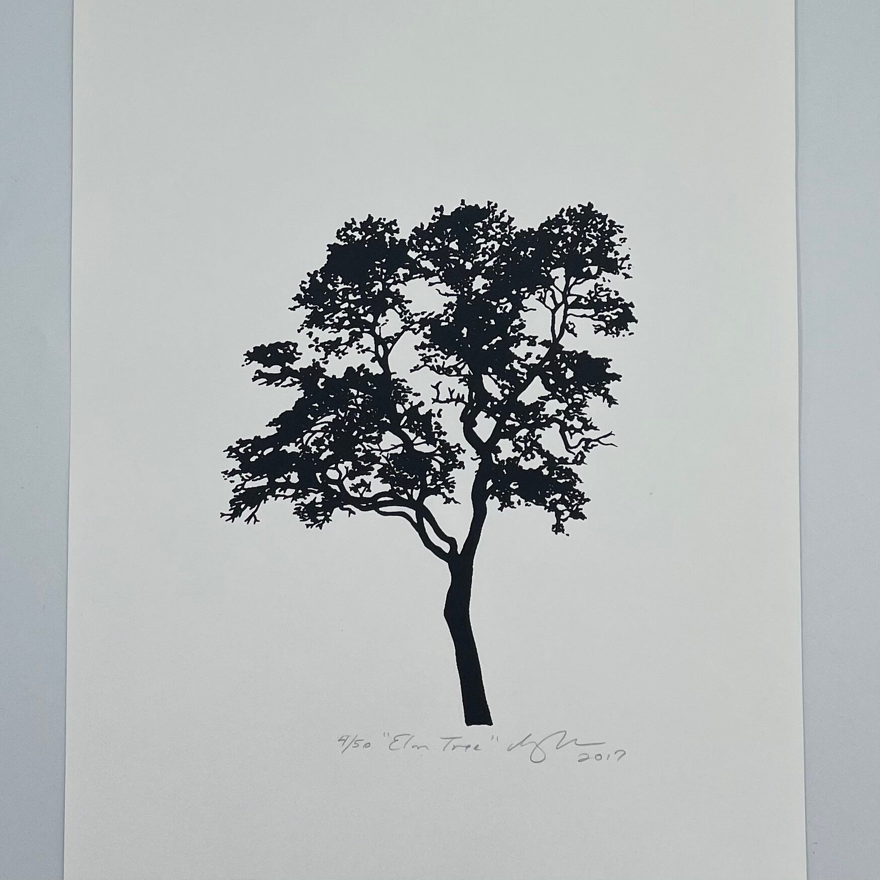 Elm Tree Print
