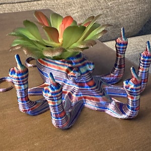 May include: A colorful, striped octopus planter with five arms raised in a middle finger gesture. The planter is holding a green succulent plant.