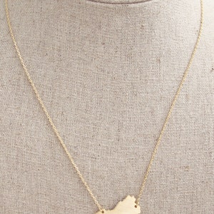 Virginia state necklace brushed silver or gold image 4