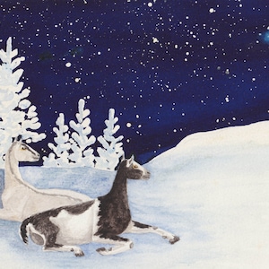 Sable Does Night wenskaarten- 6 stuks met enveloppen