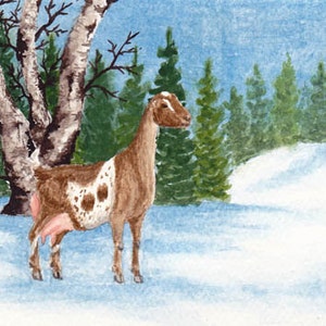 LaMancha Doe Snow wenskaarten
