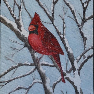 Cartes de voeux Winter Cardinal - lot de 6 avec enveloppes