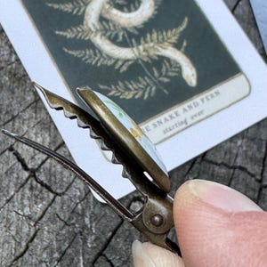 Pu&ograve; includere: Un fermaglio per capelli dorato con un design floreale bianco e giallo. Il fermaglio ha un bordo seghettato e un meccanismo a molla. Il testo "The Snake and Fern starting over" &egrave; visibile sullo sfondo.