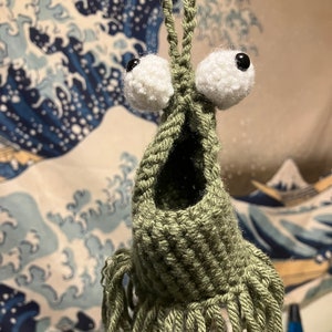 May include: A green crocheted hanging pouch with a large opening and long fringe. The pouch has two large white crocheted eyes with black pupils.