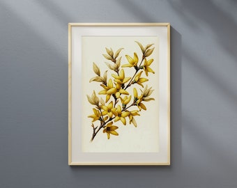 Forsythia Watercolor Digital Print  | Wall Art Print | PRINTABLE Digital Download