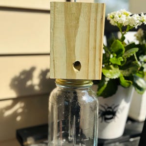 Carpenter Bee Trap