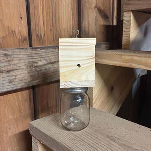Carpenter Bee Trap
