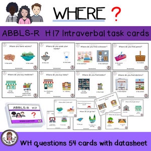 WH質問 ABBLS-R H17 言語内タスクカード + データシート 54の選択肢の回答