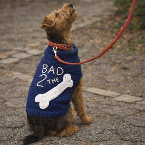 Può includere: Un cane indossa un maglione blu navy con la scritta "BAD 2 THE BONE" e un disegno di osso bianco. Il cane ha pelo marrone e nero, un collare di cuoio marrone e un guinzaglio rosso.