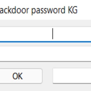 Backdoor Detroit Password