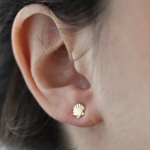 Small shell studs sterling silver or gold filled earrings image 4