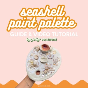 May include: A seashell paint palette with various seashells and shell fragments embedded in a white surface. The text "seashell paint palette" is in orange, with "Guide & Video Tutorial" and "by jelly seashells" below. The background is pink and orange.