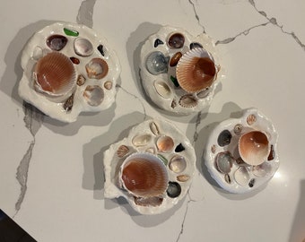 Small Seashell Paint Palette
