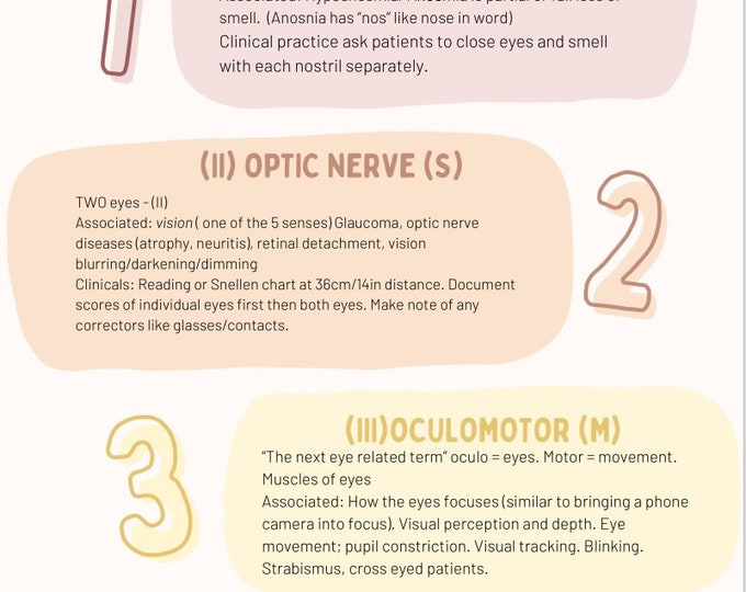 Buy Cranial Nerves & Functions | Nursing Review | Digital Download ...