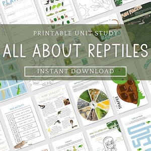 Little Critter Club: All About Reptiles Early Learning Bundle
