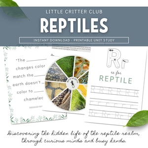 Reptiles Unit Study | PreK Kindergarten Homeschool Curriculum | Science, Faith-Based Printable Learning Bundle for Kids | Nature Study