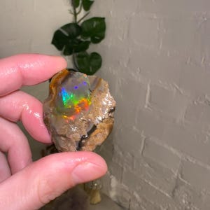 May include: A rough, natural opal stone with a rainbow of colours, including red, orange, yellow, green, blue, and purple. The opal is set in a brown matrix.