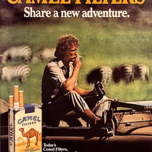 camel capsule cigarettes list Every Camel Cigarette Type: A Guide