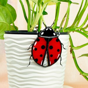 May include: A decorative ladybug with a red body and black spots is attached to a white wavy-patterned planter. The ladybug has a black head and six legs. Green plant stems and leaves are visible.