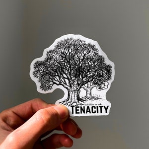 May include: Black and white sticker with a drawing of a tree and the text "Solid like an oak. TENACITY".