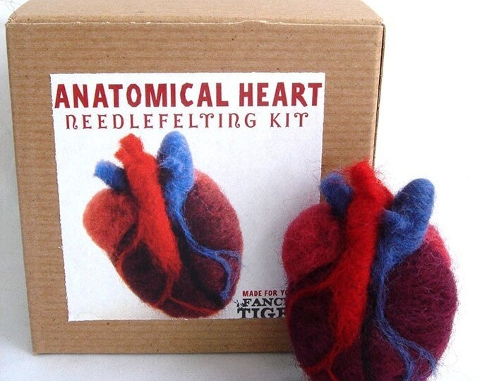 Anatomical Heart Needle Felting Kit Etsy