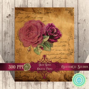 May include: Digital print featuring two antique roses in shades of burgundy and pink, with green leaves, set against a vintage parchment background. The print includes the text "Aged Roses Digital Print" and "GlitterCat Studios".