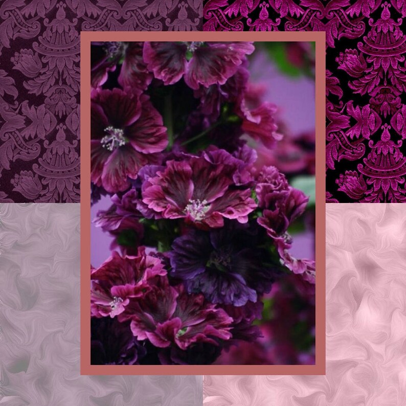 Bible Journal Cards Digital Printable blackberries 3 X 4 Purple, Plum