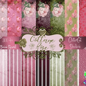 Digital Paper Pack: 8-1/2 &quot;x 11&quot; Rosa Grün Shabby Chic Brief, Cottage Rose Digital bedruckbar, romantisch, Hochzeit Scrapbook Papiere