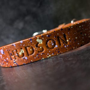 May include: Close-up of a brown leather dog collar with the name "HUDSON" embossed. The collar is speckled with blue, purple, and white paint. A silver metal buckle is visible.
