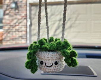 Mini Crochet Succulents | Decorative Artificial Succulent Plants | String of Pearls | Echeveria | Hanging Car Accessory | Car Mirror Charm