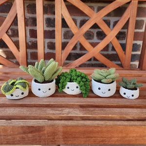 Crochet Succulents Decorative Artifical Succulent Plants Aloe Baby Jade Dwarf Snake String of Pearls Rosette Fern Venus Fly image 1