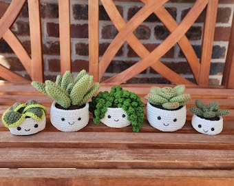 Crochet Succulents | Decorative Artifical Succulent Plants | Aloe | Baby Jade | Dwarf Snake | String of Pearls | Rosette | Fern | Venus Fly