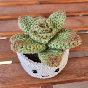 Crochet Succulents Decorative Artifical Succulent Plants Aloe Baby Jade Dwarf Snake String of Pearls Rosette Fern Venus Fly image 6