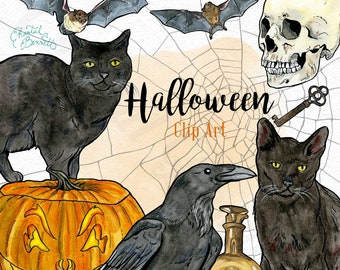 Halloween Clip Art - Ink, Watercolour, Pencil Crayon Illustrations - Downloadable digital PNG files