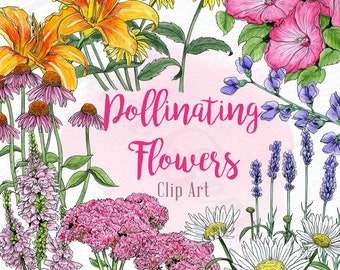 Pollinating Flowers Clip Art - Ink, Watercolour, Pencil Crayon Illustrations - Downloadable digital PNG files