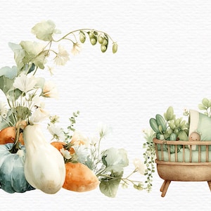 May include: Watercolor illustration featuring a baby in a wooden crib, surrounded by greenery. A collection of pumpkins in shades of blue, white, and orange, along with delicate white flowers and foliage, creates a soft, natural aesthetic.
