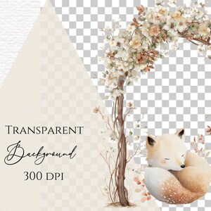 May include: Watercolor illustration featuring a sleeping fox curled up near a floral archway. The arch is adorned with delicate flowers and branches. The image includes the text "TRANSPARENT Background 300 DPI".