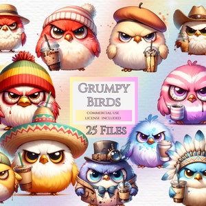 Grumpy birds clipart, digital crafting, clip art, digital clipart, clipart pack, scrapbook images, watercolor clipart, grumpy bird clipart