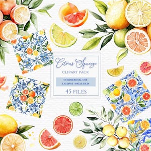 Aperto principal, clipart ciao, pacote de chá de bebê, aquarela cítrica, casamento italiano, aquarela verde, clipart de toranja.
