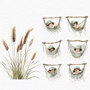 May include: A digital illustration featuring a cluster of tall, feathery beige pampas grass stalks with green stems alongside six separate images of infants wearing green bucket hats, each sleeping in a small, hanging net hammock suspended from a branch.