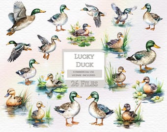 One lucky duck birthday decorations, duck in puddle clipart, Transparent PNGs,Watercolor Clipart,for commercial use,Digital duck in puddle.