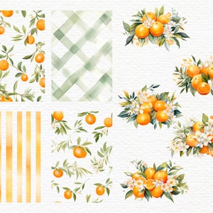 May include: Watercolor illustrations featuring oranges, green leaves, and white blossoms. The designs include patterns of orange branches, green plaid, and orange stripes. Several arrangements of oranges and flowers are also shown.