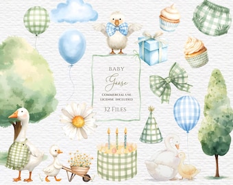 Clipart de ganso tonto con celebración de cuadros vichy, clipart de baby shower, clipart de acuarela, cumpleaños de ganso tonto, cottagecore de primavera, uso comercial.