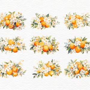 May include: Watercolor illustration of nine arrangements featuring oranges, white blossoms, and green leaves. Each arrangement showcases a cluster of ripe oranges, some sliced, surrounded by delicate white flowers and foliage, set against a textured white background.