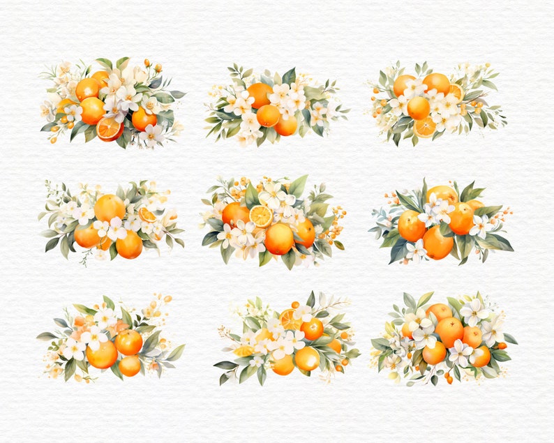 May include: Watercolor illustration of nine arrangements featuring oranges, white blossoms, and green leaves. Each arrangement showcases a cluster of ripe oranges, some sliced, surrounded by delicate white flowers and foliage, set against a textured white background.