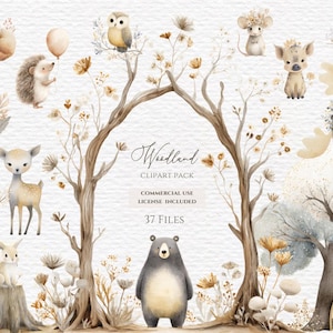 May include: Watercolor clipart pack featuring woodland animals like a bear, deer, and owl, along with floral elements and trees. The text "Woodland Clipart Pack" is displayed, with the number of files included, 37.